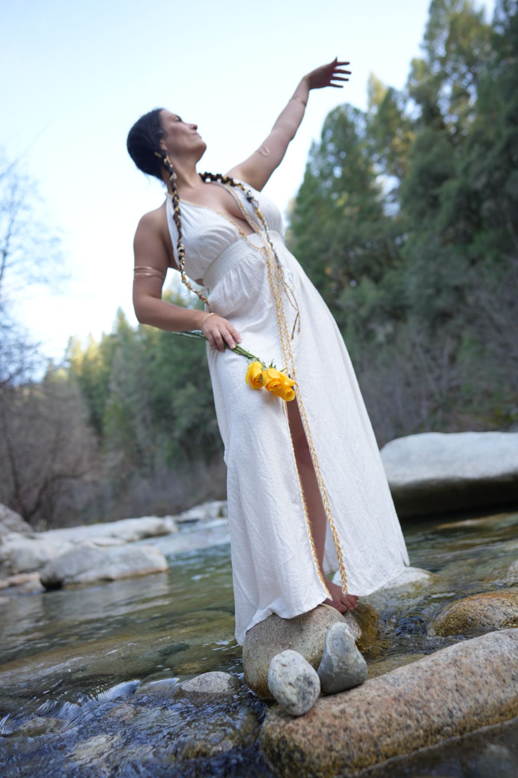 Isis Dress – Rosepetal Fibre image 6